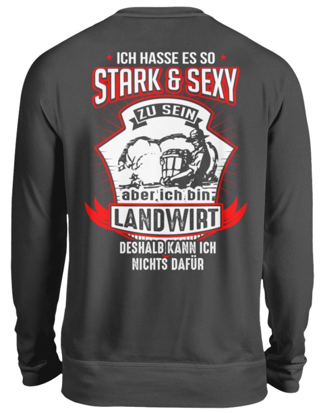 Landwirt stark · Unisex Sweatshirt Pullover-Unisex Sweatshirt-Storm Grey (Solid)-S-Agrarstarz